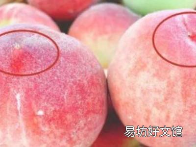 怎么挑桃子又甜又脆