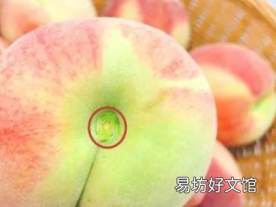 怎么挑桃子又甜又脆
