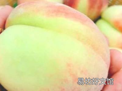 怎么挑桃子又甜又脆