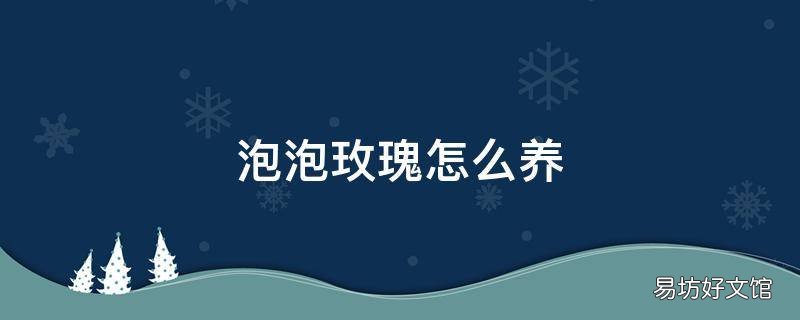 泡泡玫瑰怎么养
