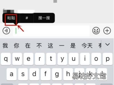 iPhone12怎么复制文字
