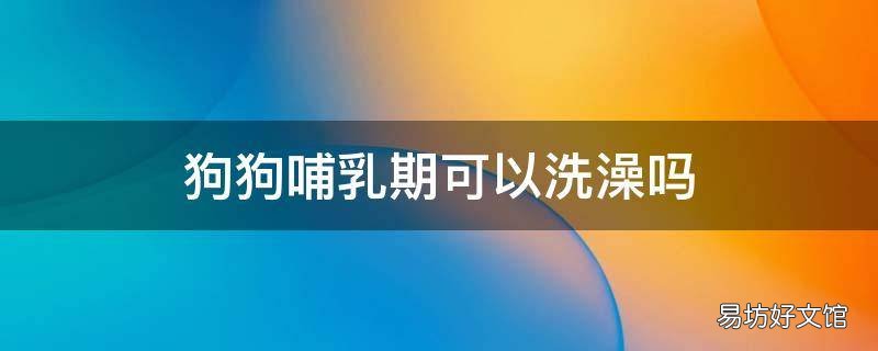 狗狗哺乳期可以洗澡吗