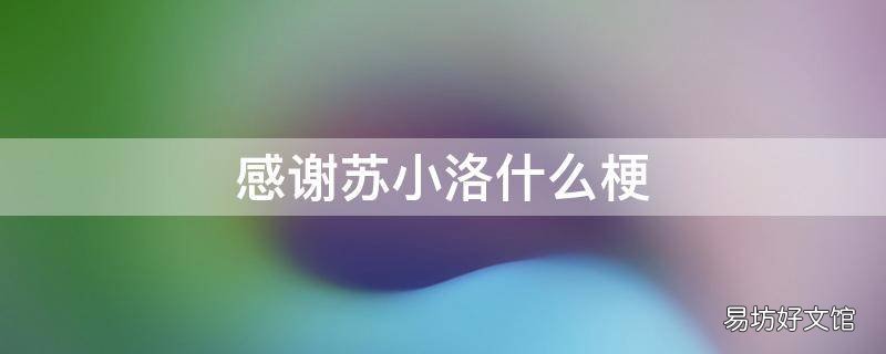 感谢苏小洛什么梗