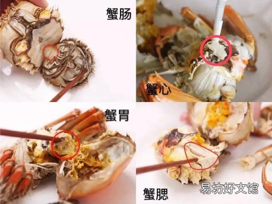 蒸螃蟹是冷水下锅还是热水下锅 区别非常大
