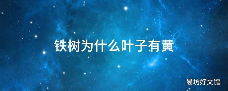 铁树为什么叶子有黄