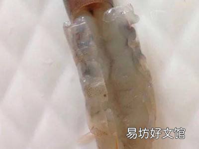 虾如何开背去虾线