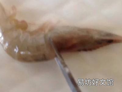 虾如何开背去虾线