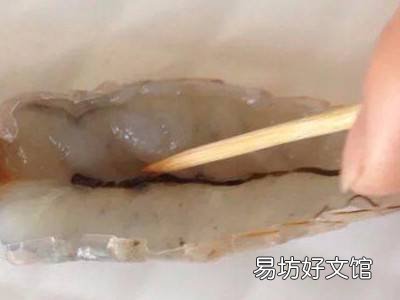 虾如何开背去虾线