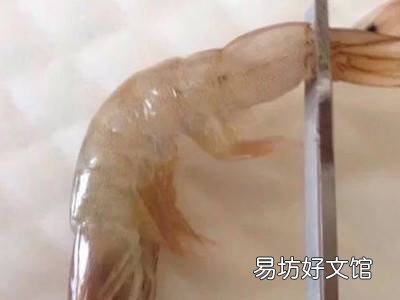 虾如何开背去虾线