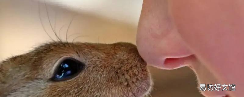 女生鼻孔小是化妆的原因吗