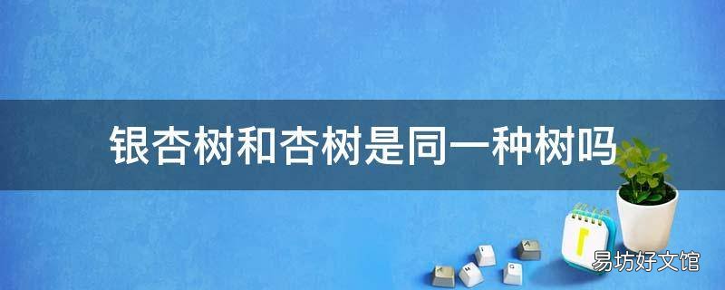 银杏树和杏树是同一种树吗