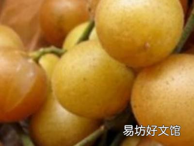黄皮怎样保存长久
