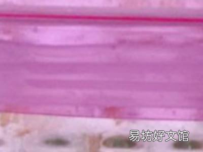 黄皮怎样保存长久