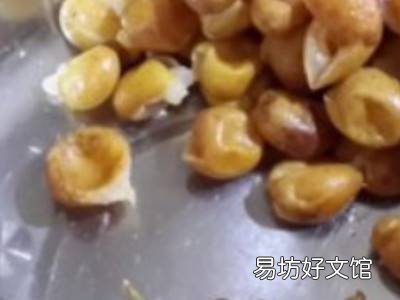 黄皮怎样保存长久