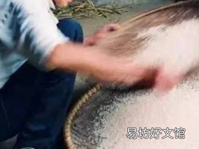米生蛾子怎么清除