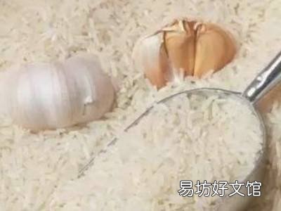 米生蛾子怎么清除
