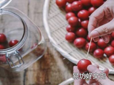 李子酿酒怎么酿