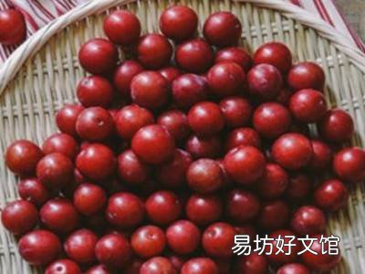 李子酿酒怎么酿
