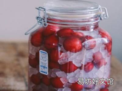 李子酿酒怎么酿
