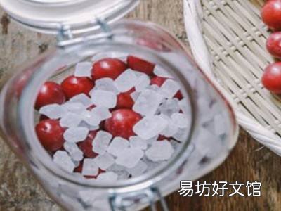 李子酿酒怎么酿