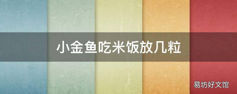 小金鱼吃米饭放几粒