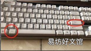 单元格内换行快捷键ctrl加什么