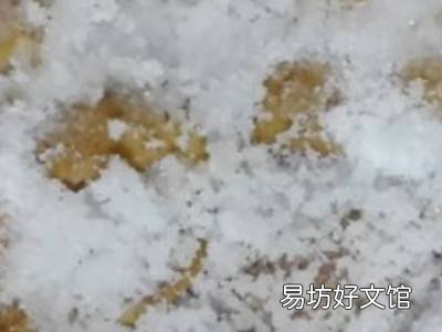 黄皮怎么腌制