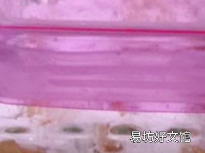 黄皮怎么腌制