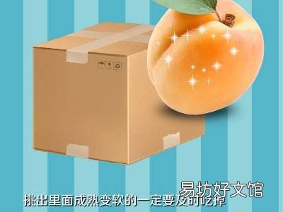 杏怎么保存的时间长
