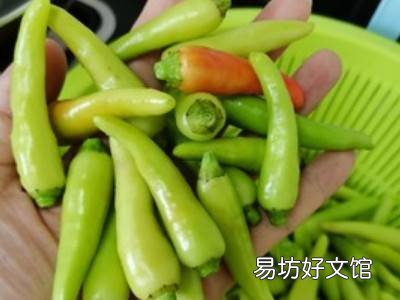 怎样做泡椒才好吃