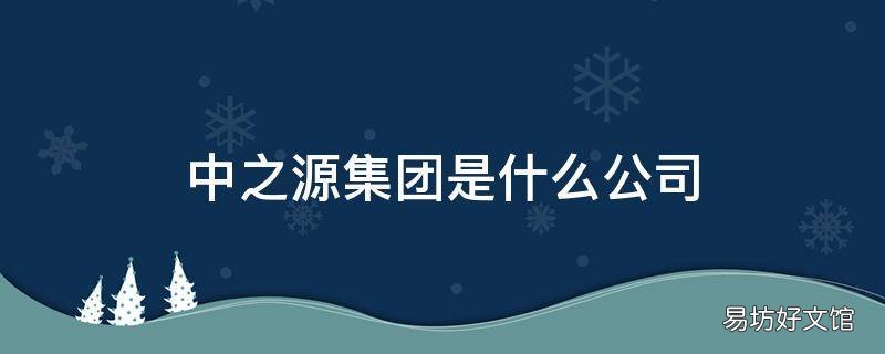 中之源集团是什么公司