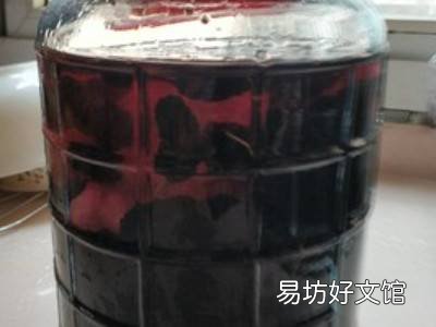 桑葚酒的酿造方法及制作步骤