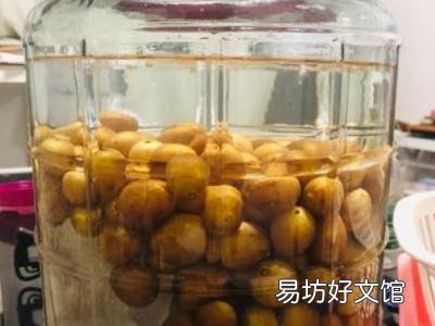 黄皮酒的制作方法