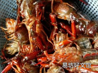椒盐龙虾怎么做