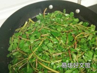 马齿苋如何制干