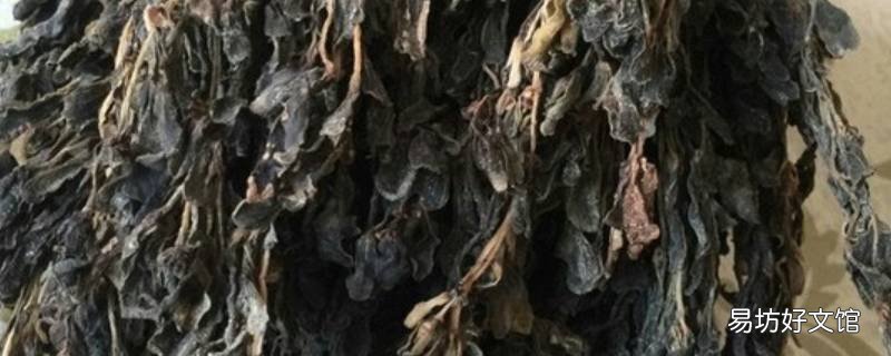 马齿苋如何制干