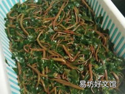 马齿苋如何制干