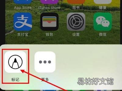 苹果涂鸦笔在哪里