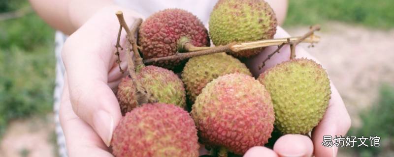 荔枝怎样保存