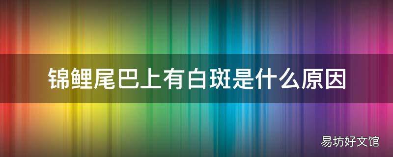 锦鲤尾巴上有白斑是什么原因