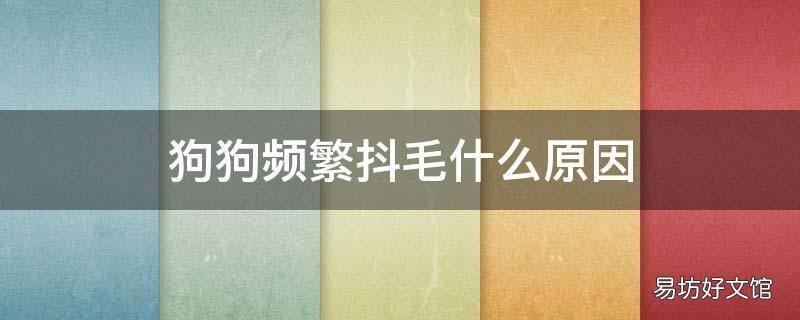 狗狗频繁抖毛什么原因