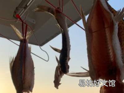 夏天晒鱼干的制作方法