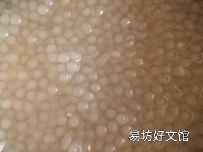 西米煮不透明怎么补救