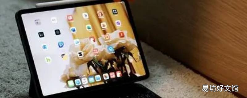 ipad2020能分屏吗