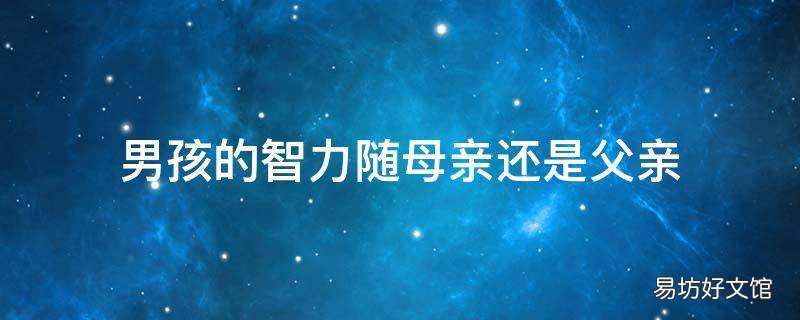 男孩的智力随母亲还是父亲