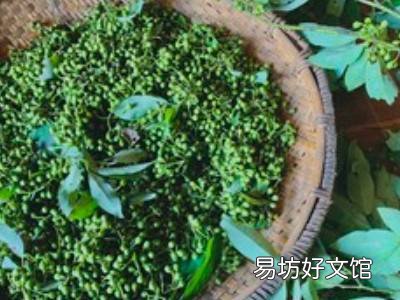 山胡椒油怎么熬制