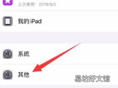 ipad其他系统数据怎么清理