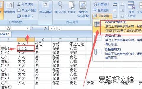 怎么冻结表格的某一行和某一列