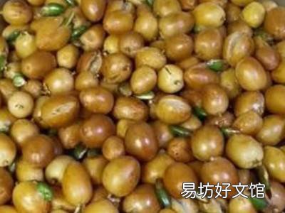 黄皮果酱的制作方法