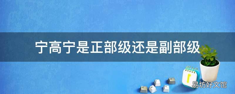 宁高宁是正部级还是副部级